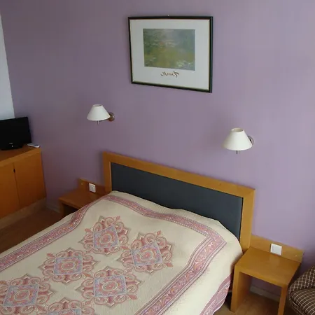 Hotel Au Petit Languedoc Отель Лурд