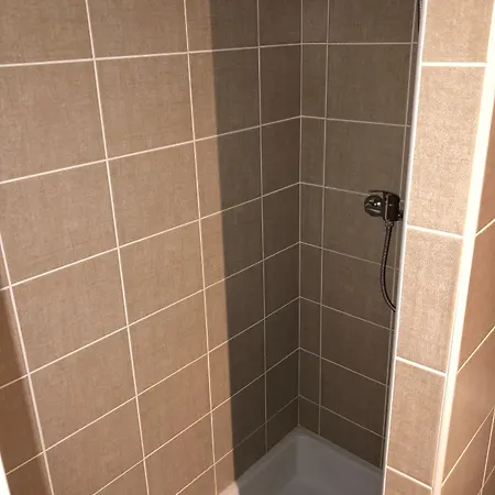 Hotel Au Petit Languedoc Lourdes